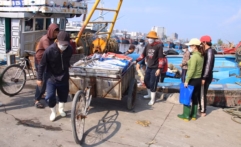 Lộc biển cuối năm của ngư dân miền trung -0