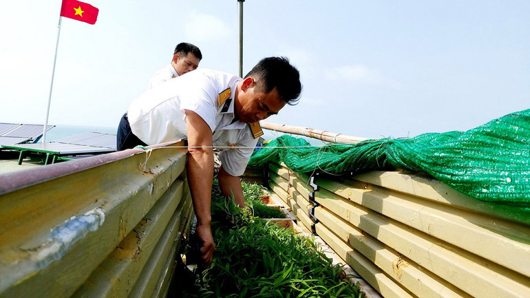 Chiến sĩ Nhà giàn DK1/10 hái rau nấu canh cho mâm cơm Tết. Những hình ảnh Tết đến với người lính trên nhà giàn DK1 -0