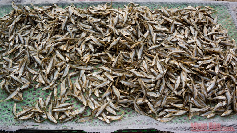 Hồ Ba Bể - viên ngọc bích miền thượng du -0