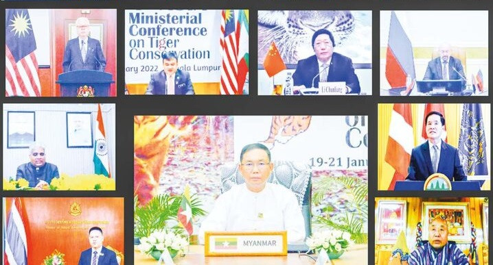 Năm Dần nói chuyện hổ -0