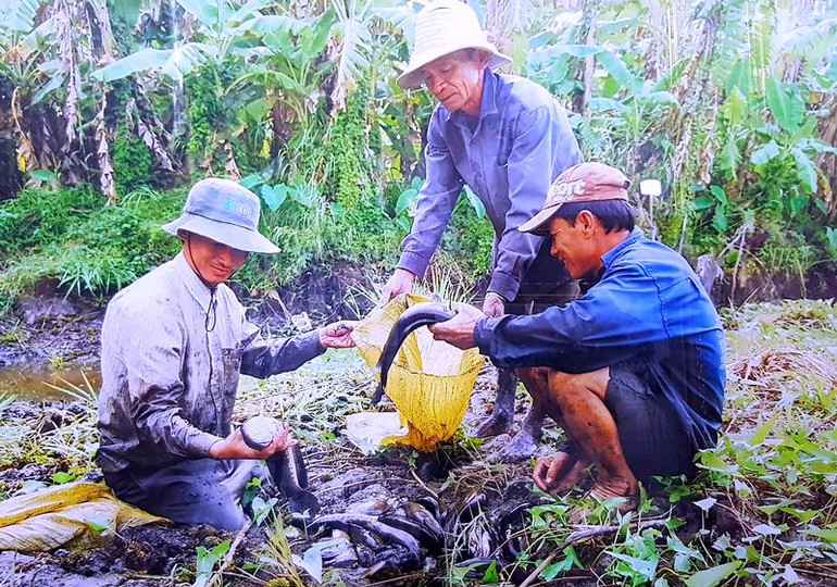 Đánh thức tiềm năng du lịch Cà Mau -1