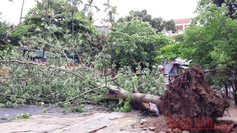 Thiên tai năm 2021 có nhiều diễn biến bất thường -0