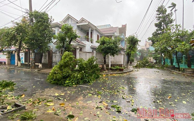 Đã có cây đổ, nhà tốc mái do bão số 9 -0