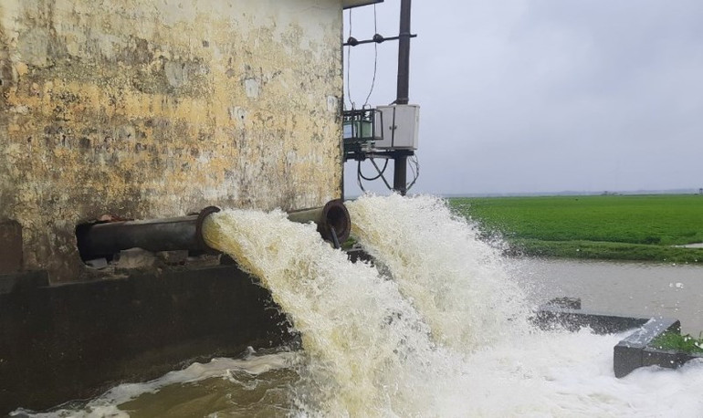 Quảng Bình nỗ lực chống úng cứu hơn 4.000ha lúa đông xuân -0