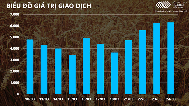 Thị trường hàng hóa trái chiều giữa nhiều bất ổn ở biển Đen, giá dầu đảo chiều giảm mạnh -0