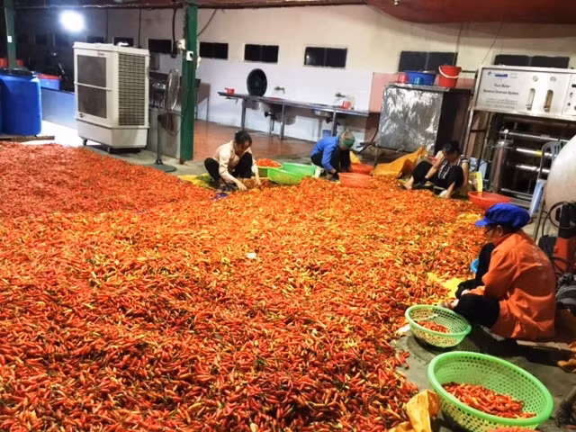 Giải pháp hiện thực hóa hai chương trình mục tiêu quốc gia (bài 2) -0