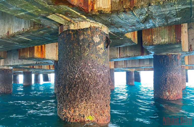 Nhiều “bất thường” tại cảng Bến Đình huyện đảo Lý Sơn -0