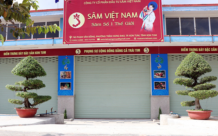 Cần xử lý nghiêm hành vi trục lợi thương hiệu sâm Ngọc Linh -0