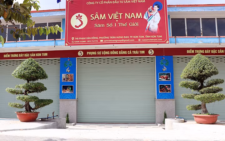 Cần xử lý nghiêm hành vi trục lợi thương hiệu sâm Ngọc Linh -0