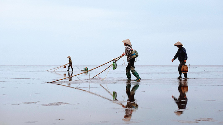 Mưu sinh ven biển Thụy Xuân -0