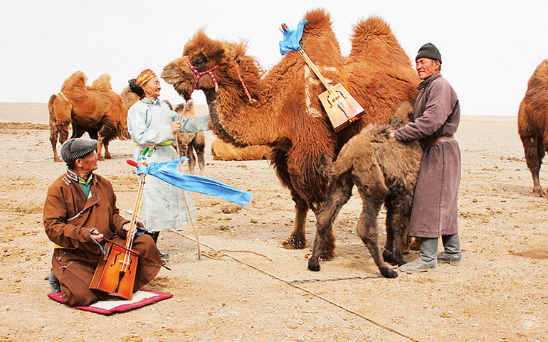 Nước mắt lạc đà trên sa mạc Gobi -0