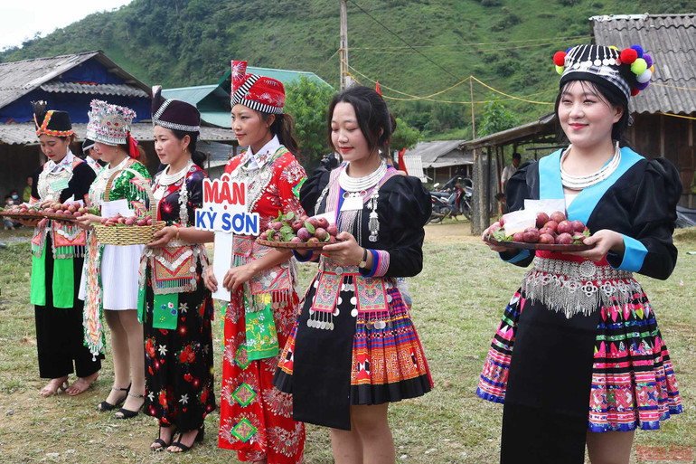 Ngày hội hái mận ở vùng cao Nghệ An -0