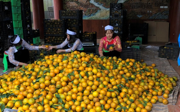 Giải pháp hiện thực hóa hai chương trình mục tiêu quốc gia -0