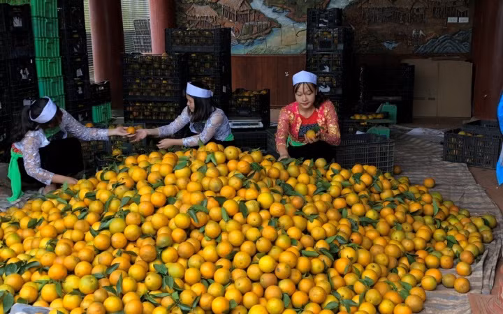 Giải pháp hiện thực hóa hai chương trình mục tiêu quốc gia -0