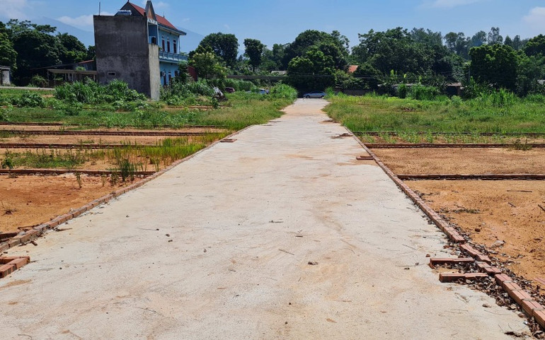 Tự ý san lấp mặt bằng, chia thành lô để bán tại thôn Dộc Lịch, xã Hướng Đạo (Tam Dương, Vĩnh Phúc) Cần xử lý hành vi phân lô bán nền trái phép ở Tam Dương -0