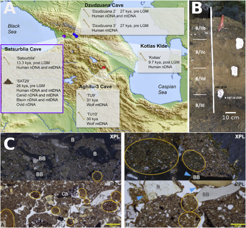 Phục hồi bộ gen người cổ đại từ bùn trong hang động -0