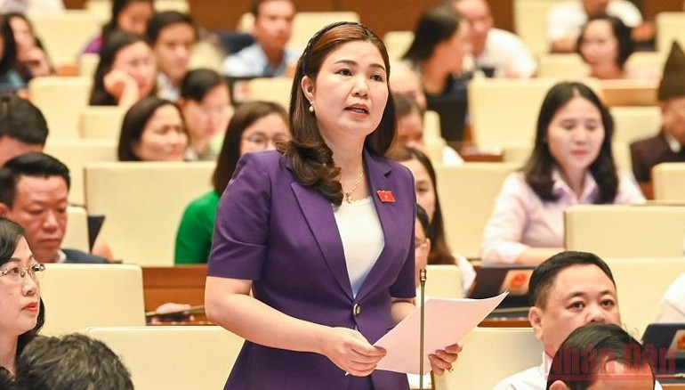 Đẩy mạnh các chính sách ưu tiên hỗ trợ phát triển du lịch -0