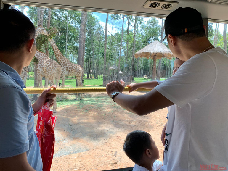 Trải nghiệm công viên động vật hoang dã Safari Phú Quốc -0