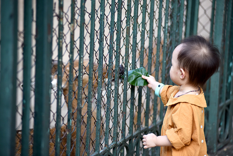Bé vui khám phá thiên nhiên tại công viên Thủ Lệ sau giãn cách -0