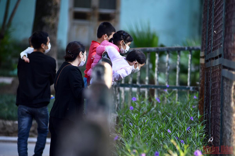 Bé vui khám phá thiên nhiên tại công viên Thủ Lệ sau giãn cách -0