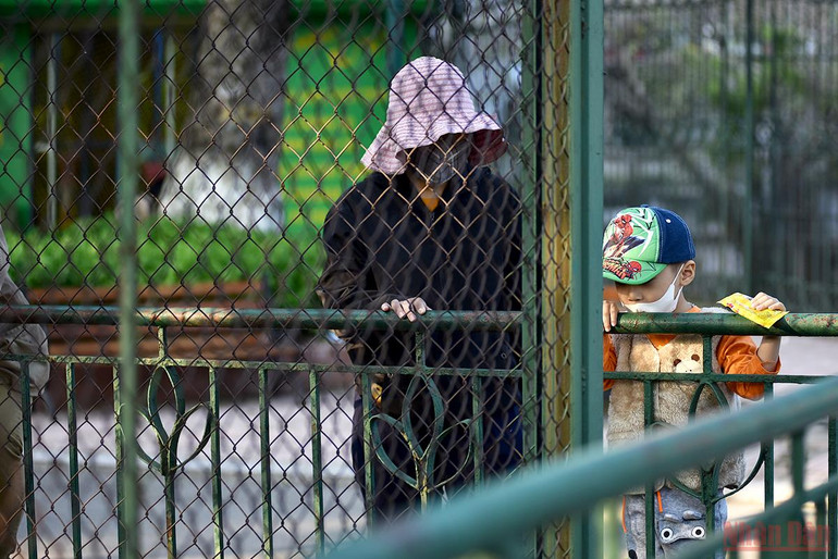 Bé vui khám phá thiên nhiên tại công viên Thủ Lệ sau giãn cách -0