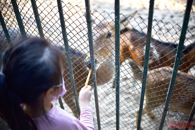 Bé vui khám phá thiên nhiên tại công viên Thủ Lệ sau giãn cách -0