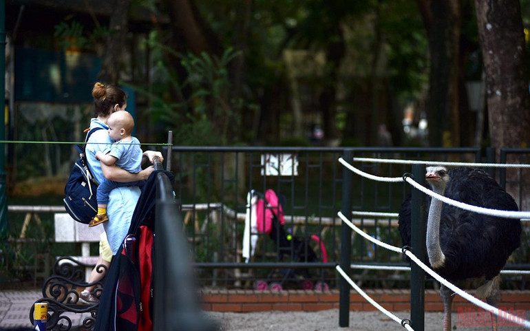 Bé vui khám phá thiên nhiên tại công viên Thủ Lệ sau giãn cách -0