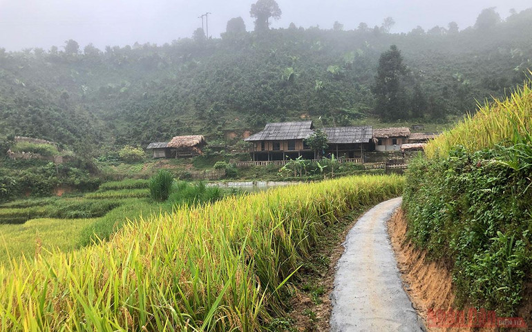 Ngôi nhà có quả đồi mâm xôi -0