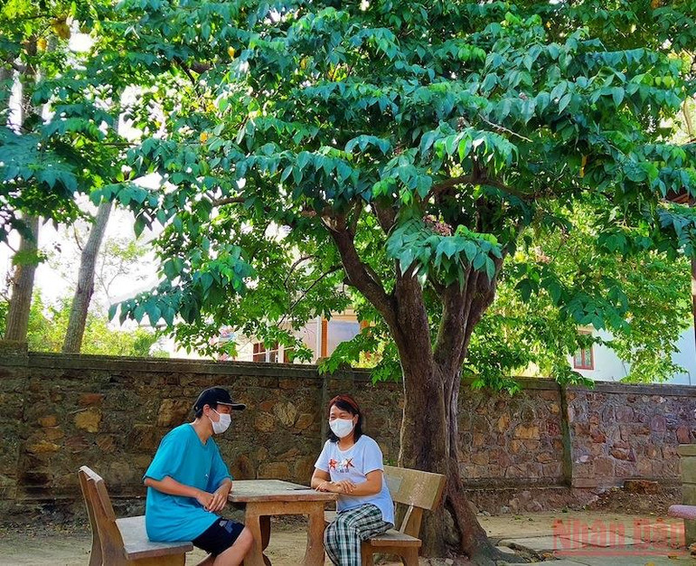 Bên góc nhà có cây khế hơn 100 năm tuổi vẫn xanh mướt và tỏa mát. Chuyện về ngôi nhà bình dị của Đại tướng Võ Nguyên Giáp bên dòng Kiến Giang -0