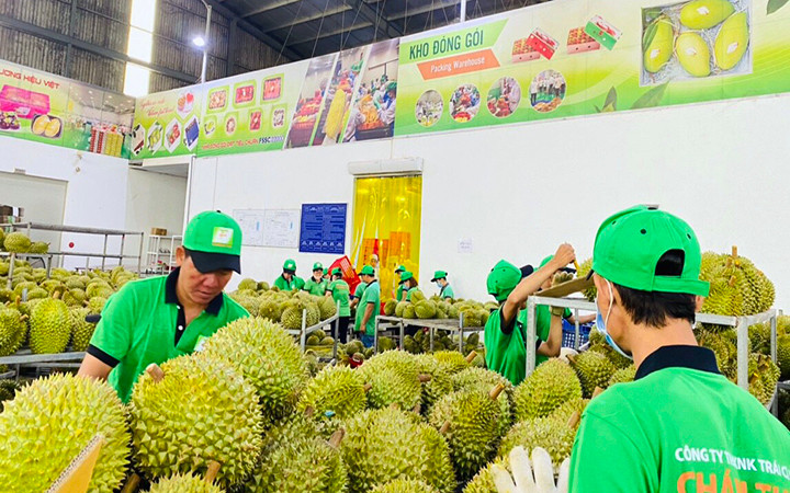 Khơi thông xuất khẩu nông sản qua đường biển -0