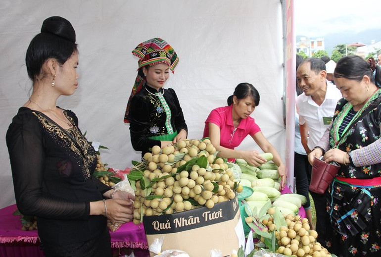 Sơn La chủ động thúc đẩy tiêu thụ nhãn -0
