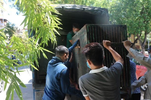 Bốn cá thể gấu cuối cùng tại Rạp xiếc Trung ương không còn phải biểu diễn xiếc -0