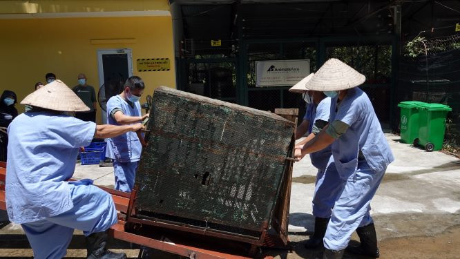 Bốn cá thể gấu cuối cùng tại Rạp xiếc Trung ương không còn phải biểu diễn xiếc -0