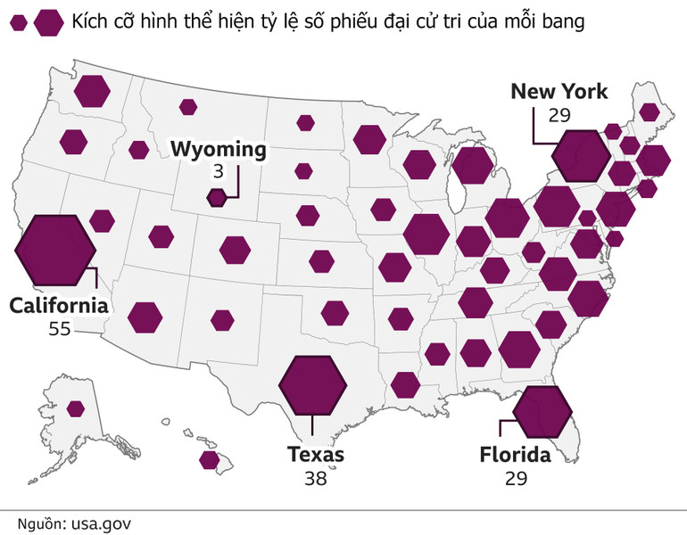 Bầu cử Hoa Kỳ năm 2020 -0