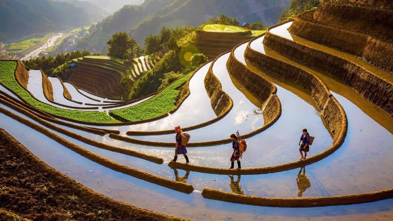 Một tác phẩm gợi cảm hứng bình yên của nghệ sĩ nhiếp ảnh Phạm RaRi.