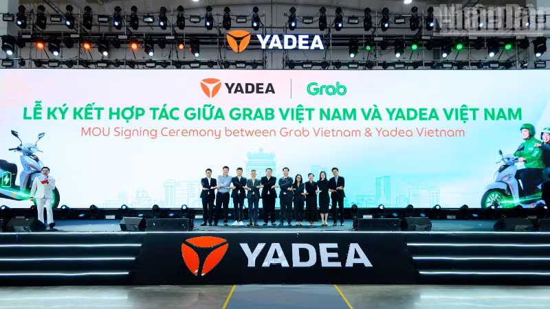 ndo-tr-3-1850.png