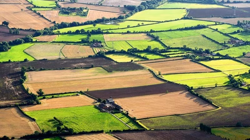 Bảo đảm lợi ích cho người dân khi chuyển mục đích sử dụng đất từ đất nông nghiệp sang đất ở. Ảnh minh họa