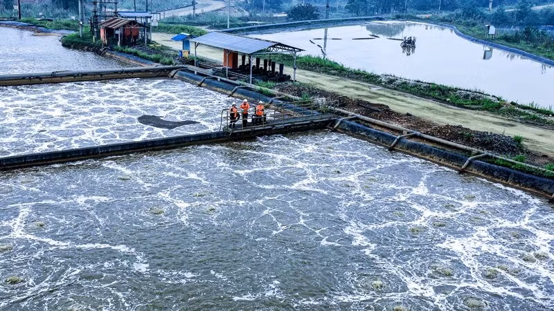 Trạm xử lý nước thải tập trung của Công ty áp dụng công nghệ hiện đại, công suất xử lý tối đa 1.500m³/h.
