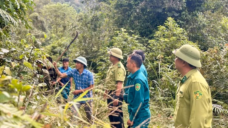 Thành viên Tổ bảo vệ rừng bản Háng Lìa A cùng kiểm lâm địa bàn tuần tra bảo vệ rừng.