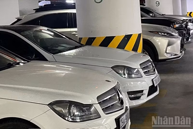 Sửa đổi, bổ sung quy định về đấu giá hạn ngạch thuế quan nhập khẩu ô tô đã qua sử dụng. (Ảnh: KIM DUNG)