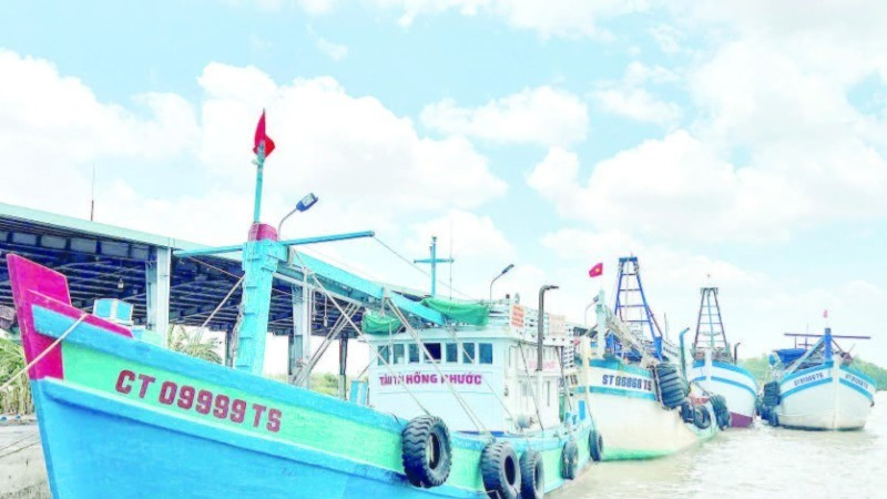 Tàu cá Cần Thơ tập kết tại Cảng cá Trần Đề.