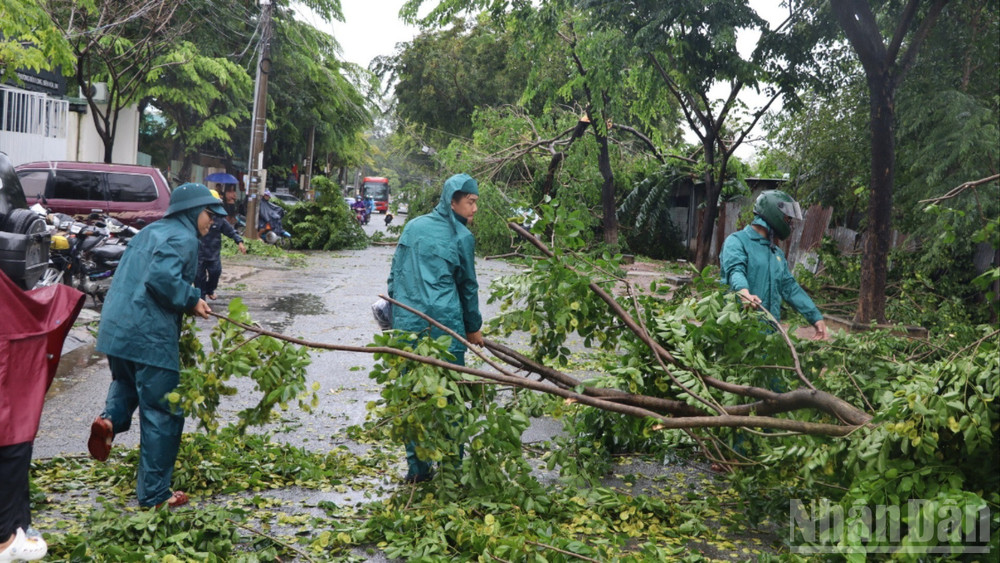 Lực lượng dân quân phường Trấn Biên dọn dẹp, khắc phục hậu quả cây xanh ngã đổ xuống đường. ndo_br_6-resize-2589.jpg