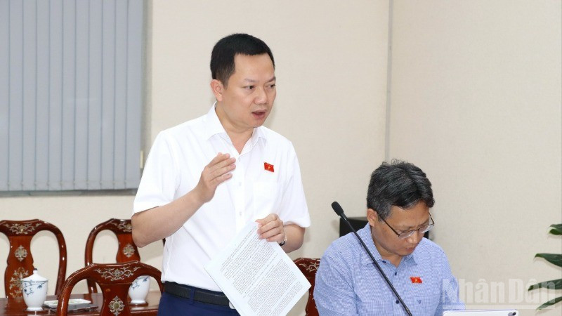 Đại biểu Quốc hội Trịnh Xuân An phát biểu tại buổi giám sát. ndo_br_2-resize-4134.jpg