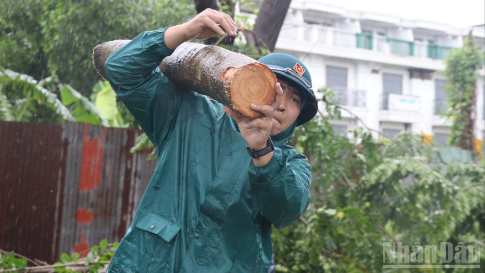Chiến sĩ dân quân phường Trấn Biên tham gia dọn dẹp cây xanh bị đổ xuống đường. ndo_br_11-resize-4462.jpg