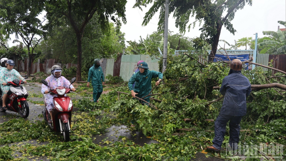 Lực lượng chức năng phường Trấn Biên dọn cây xanh ngã đổ trên đường Nguyễn Du. ndo_br_2-resize-8667.jpg