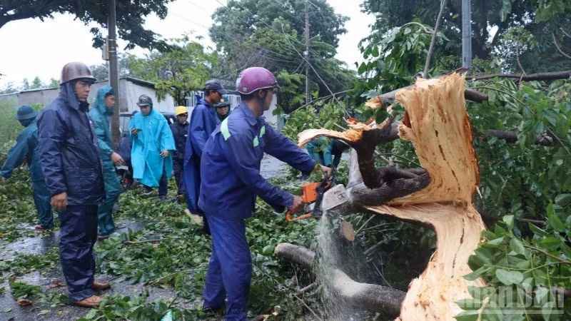 Lực lượng chức năng phường Trấn Biên khắc phục hậu quả do dông lốc gây ra.