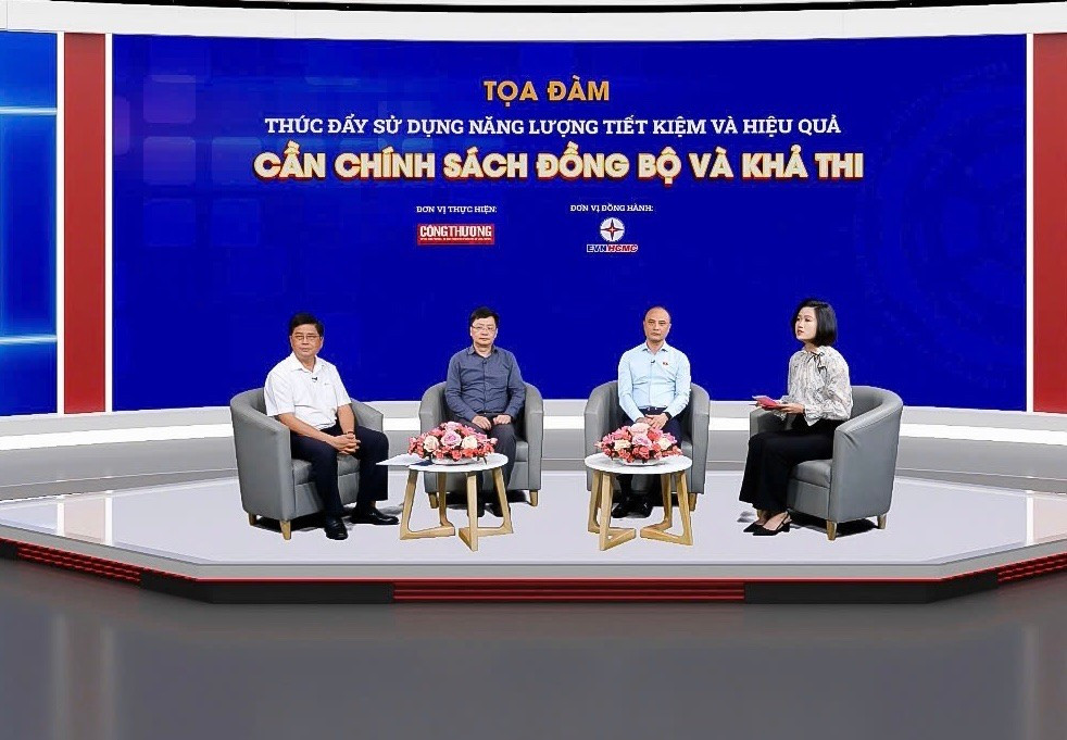 Tọa đàm “Thúc đẩy sử dụng năng lượng tiết kiệm và hiệu quả: Cần chính sách đồng bộ và khả thi”. toadam56.jpg