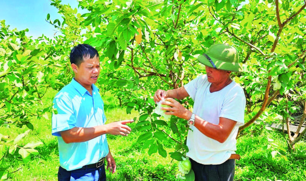 Nhiều mô hình nông nghiệp hiệu quả được lồng ghép trong chương trình xây dựng nông thôn mới ở Quảng Ninh.