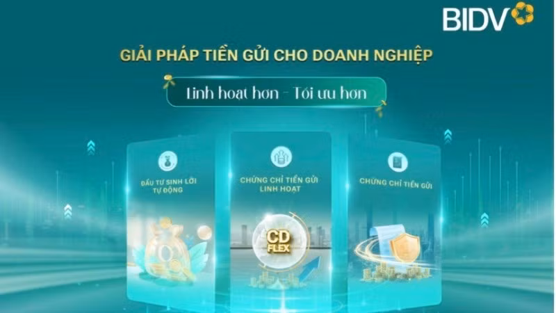 Việc mở rộng cấu trúc kỳ hạn và phương thức nhận lãi giúp các doanh nghiệp chủ động hơn trong hoạch định dòng tiền trung-dài hạn.