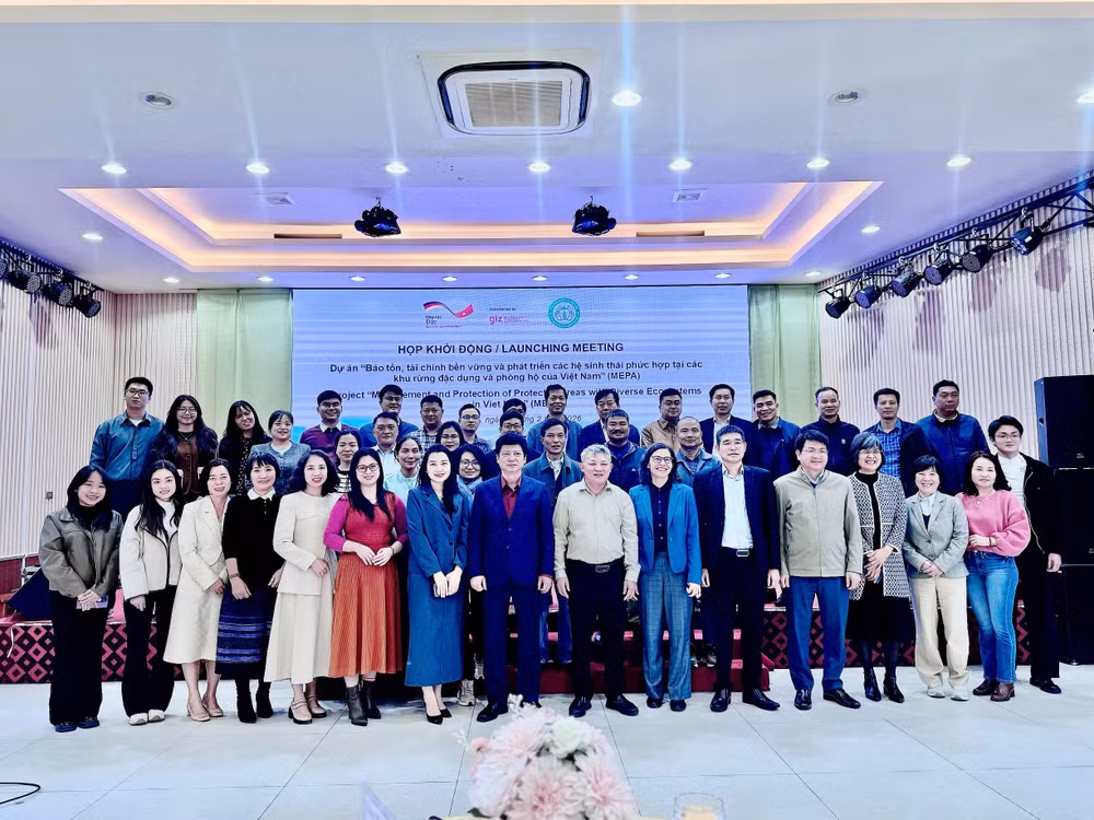 Họp khởi động dự án bảo tồn, tài chính bền vững và phát triển hệ sinh thái phức hợp tại rừng đặc dụng và phòng hộ của Việt Nam.